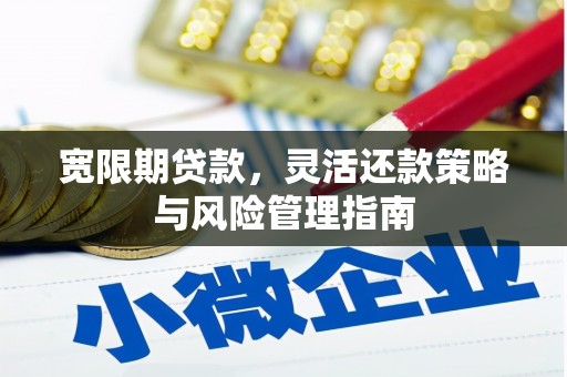 六合宽限期贷款，灵活还款策略与风险管理指南