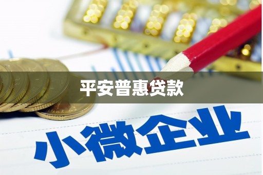 市中区平安普惠贷款