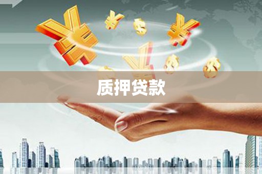 南安质押贷款