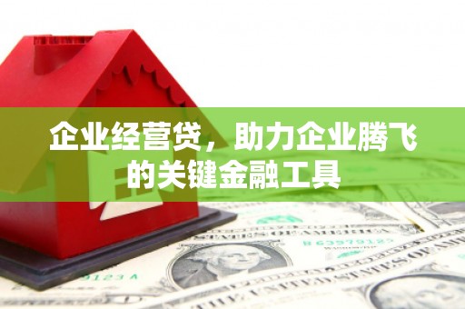 新店企业经营贷，助力企业腾飞的关键金融工具