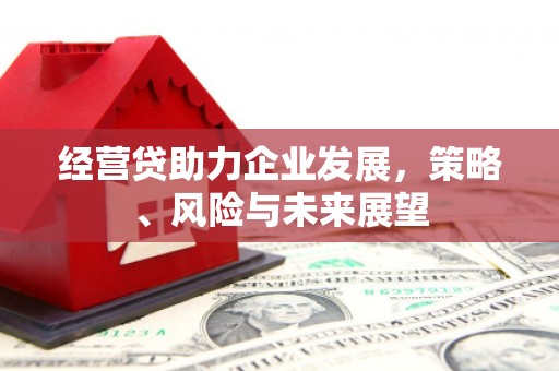 龙口经营贷助力企业发展，策略、风险与未来展望