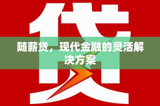 崖州随薪贷，现代金融的灵活解决方案