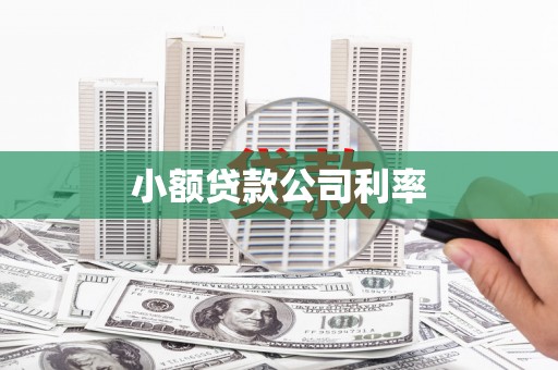 西华小额贷款公司利率