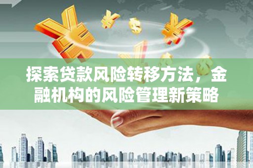 皇姑探索贷款风险转移方法，金融机构的风险管理新策略