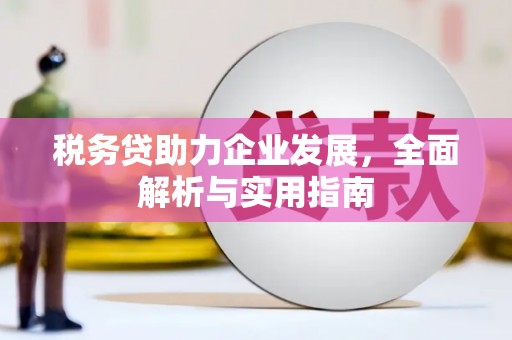 上城税务贷助力企业发展，全面解析与实用指南