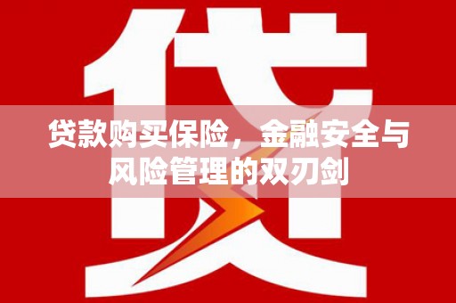 泰山贷款购买保险，金融安全与风险管理的双刃剑