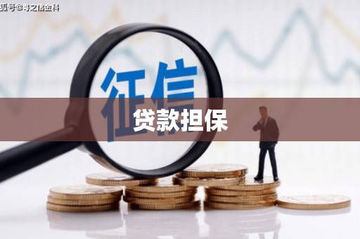 扶绥贷款担保