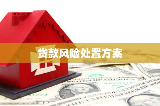 石鼓贷款风险处置方案