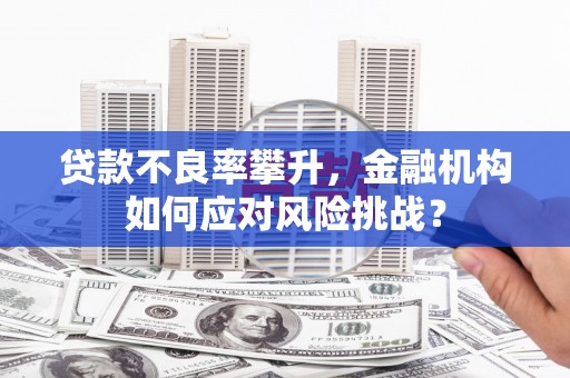 铜仁贷款不良率攀升，金融机构如何应对风险挑战？