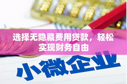 金峰选择无隐藏费用贷款，轻松实现财务自由