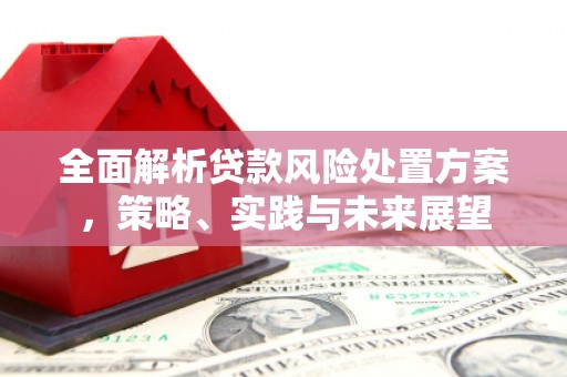 泉山全面解析贷款风险处置方案，策略、实践与未来展望