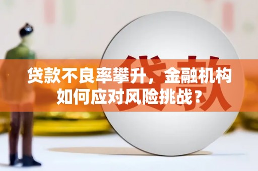 普湾新区贷款不良率攀升，金融机构如何应对风险挑战？