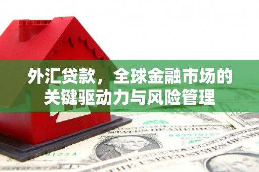 果洛外汇贷款，全球金融市场的关键驱动力与风险管理