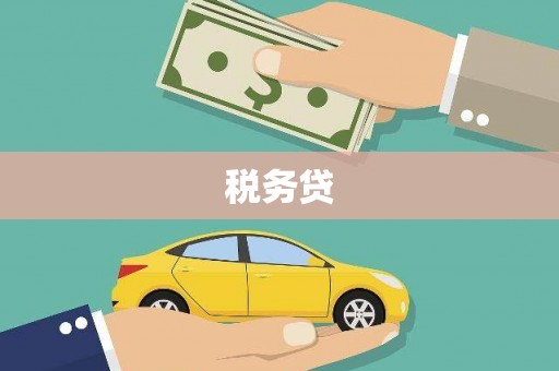 长安税务贷