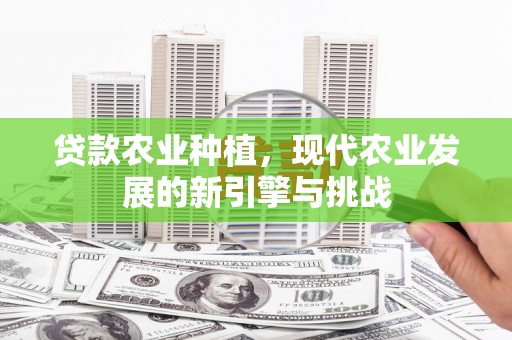 林甸贷款农业种植，现代农业发展的新引擎与挑战