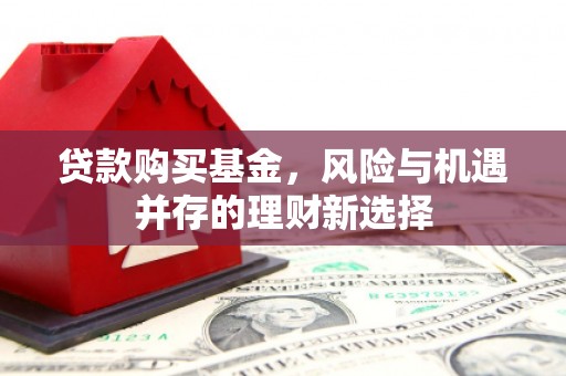 通霄贷款购买基金，风险与机遇并存的理财新选择