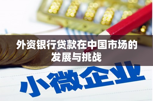 大溪外资银行贷款在中国市场的发展与挑战