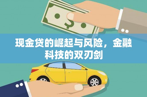 哈尔滨现金贷的崛起与风险，金融科技的双刃剑