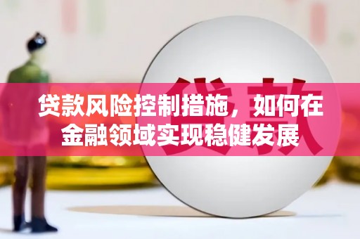 丰城贷款风险控制措施，如何在金融领域实现稳健发展