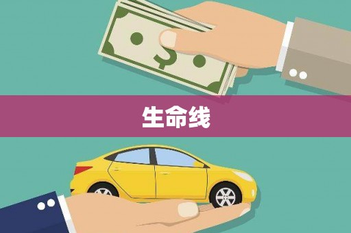 枝江生命线