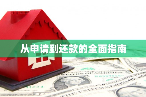 巴里坤从申请到还款的全面指南