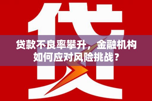 定州贷款不良率攀升，金融机构如何应对风险挑战？