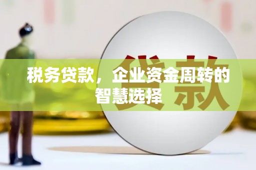 遵化税务贷款，企业资金周转的智慧选择