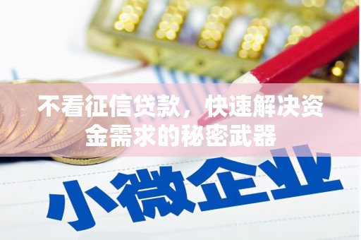 湖里不看征信贷款，快速解决资金需求的秘密武器