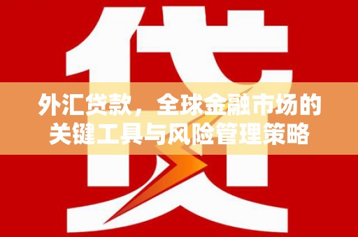 隆阳外汇贷款，全球金融市场的关键工具与风险管理策略