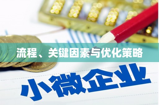 栖霞流程、关键因素与优化策略