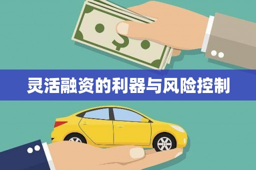 江北灵活融资的利器与风险控制
