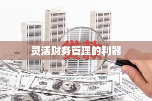 湖南灵活财务管理的利器