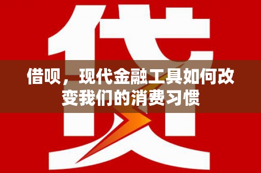灌云借呗，现代金融工具如何改变我们的消费习惯