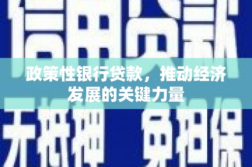松溪政策性银行贷款，推动经济发展的关键力量