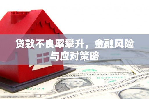 宁夏贷款不良率攀升，金融风险与应对策略