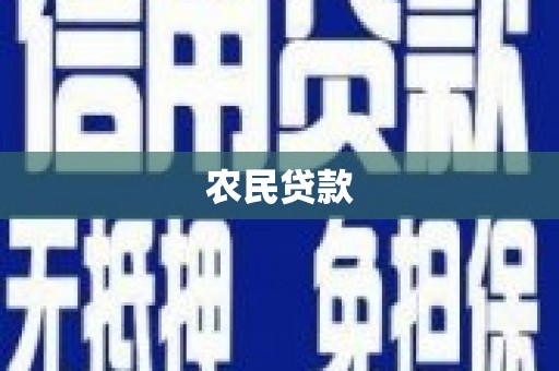 魏县农民贷款
