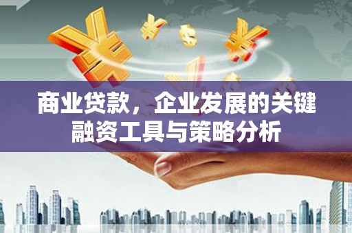 阿巴嘎旗商业贷款，企业发展的关键融资工具与策略分析