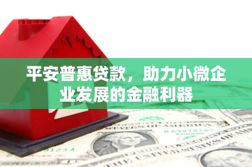 双河平安普惠贷款，助力小微企业发展的金融利器