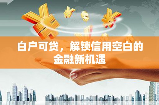 梅州白户可贷，解锁信用空白的金融新机遇