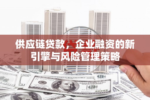 临西供应链贷款，企业融资的新引擎与风险管理策略