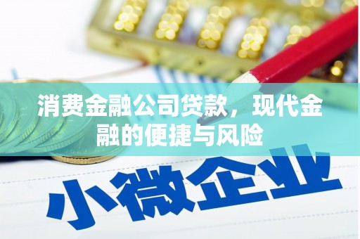 临潭消费金融公司贷款，现代金融的便捷与风险