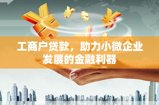 新园工商户贷款，助力小微企业发展的金融利器