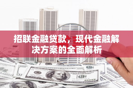 黔西招联金融贷款，现代金融解决方案的全面解析