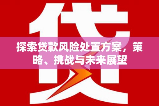 柳南探索贷款风险处置方案，策略、挑战与未来展望