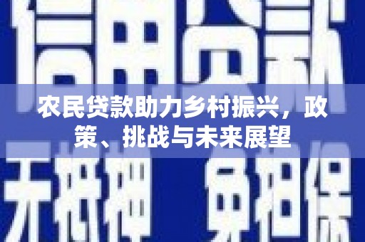 民和农民贷款助力乡村振兴，政策、挑战与未来展望