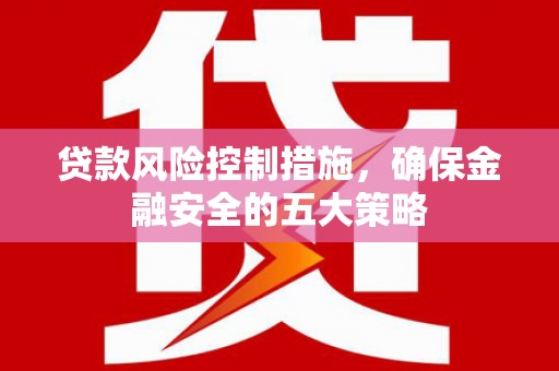 新泰贷款风险控制措施，确保金融安全的五大策略
