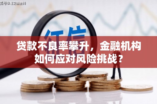 房县贷款不良率攀升，金融机构如何应对风险挑战？