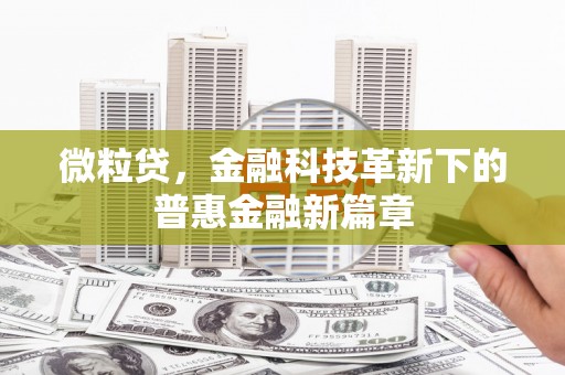 林州微粒贷，金融科技革新下的普惠金融新篇章