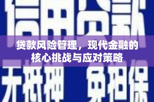 文峰贷款风险管理，现代金融的核心挑战与应对策略