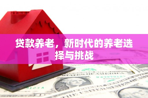 仁寿贷款养老，新时代的养老选择与挑战